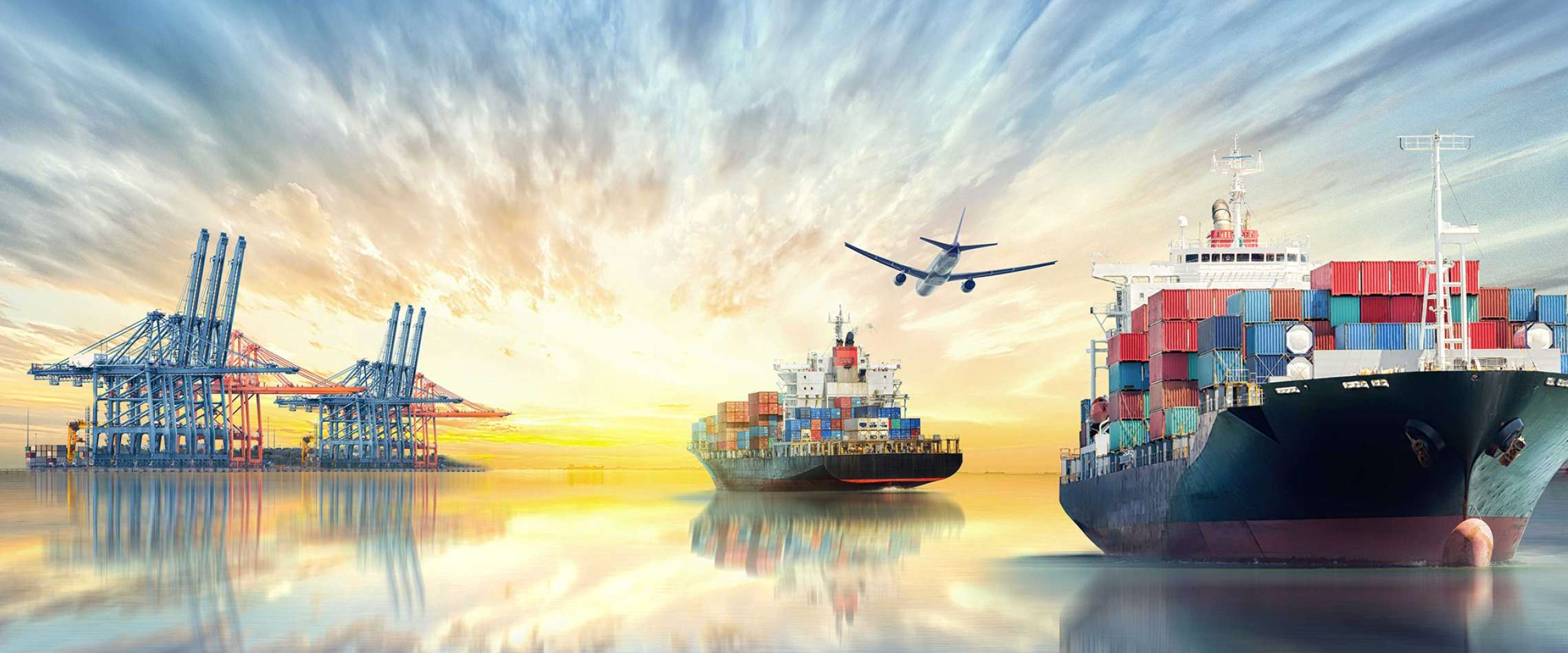 CITTI Export Service