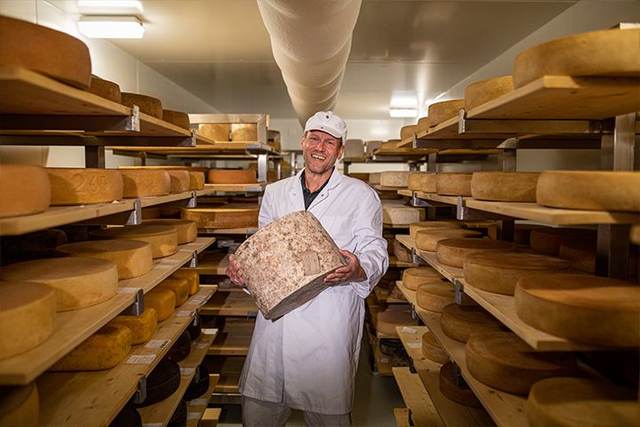 Käse Kober