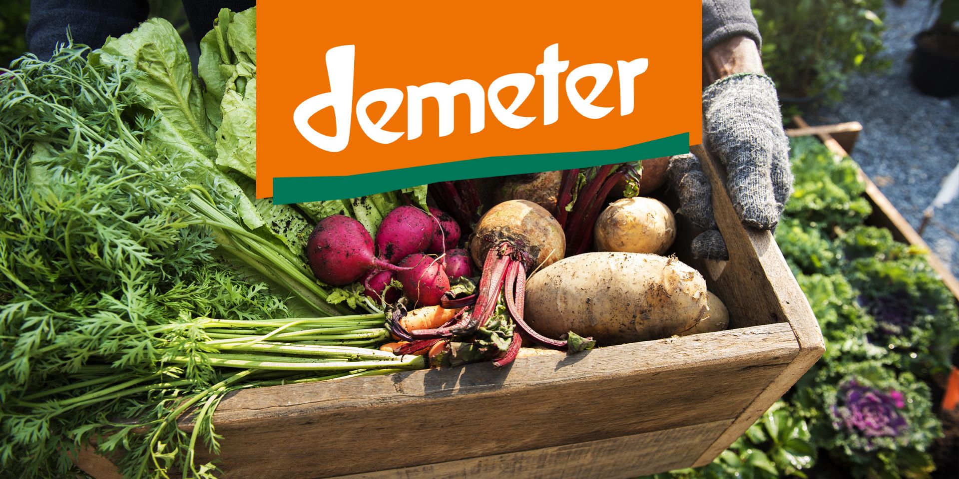 demeter