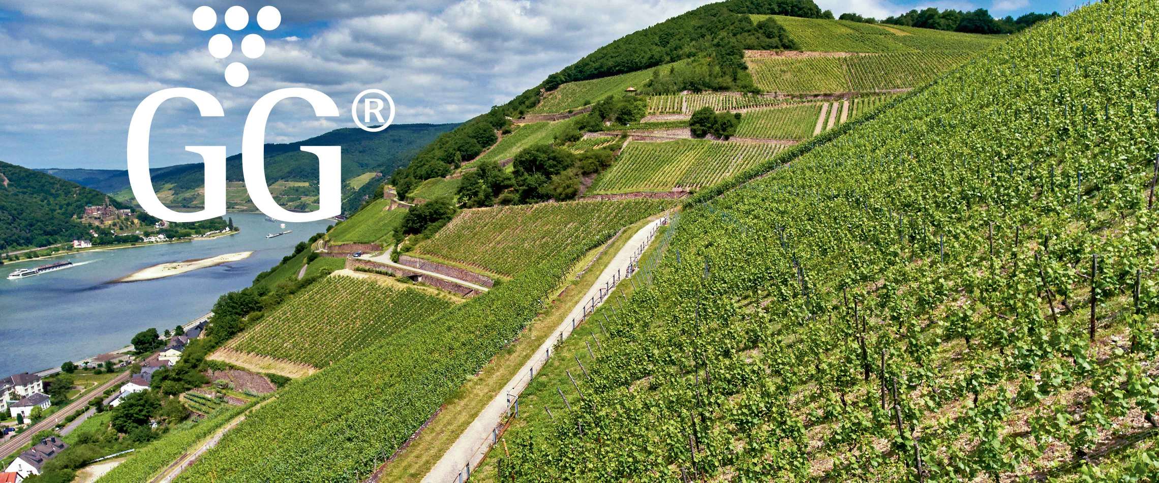 Wein