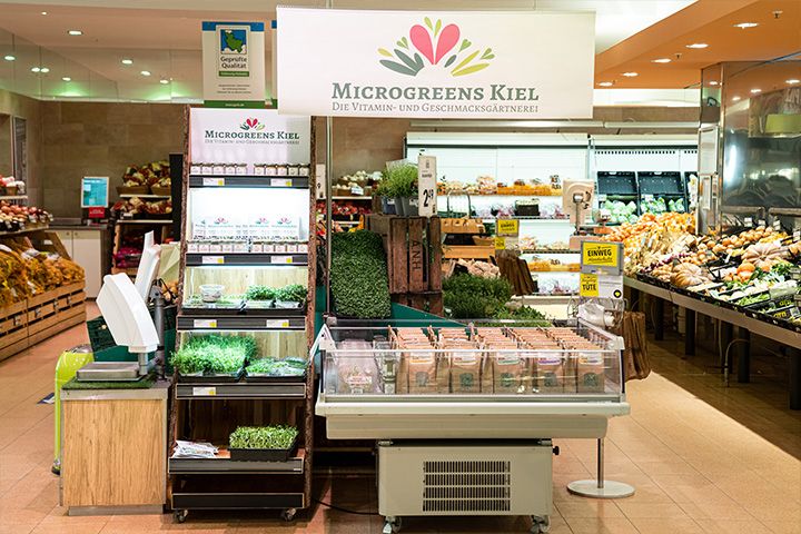 Microgreens Kiel